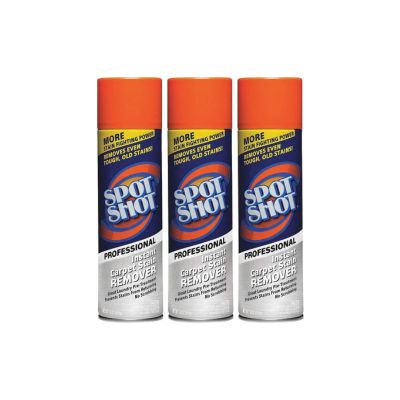 Professional Carpet Stain Remover - 3/18 oz.